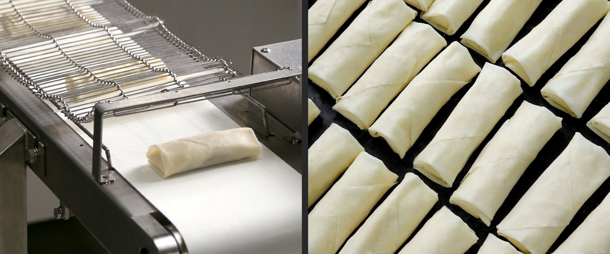 ANKO-spring-roll-production-line