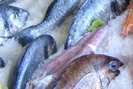 Ozone Water Generator - wash seafood