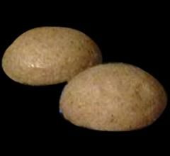 ANKO Food Machine - Kubba