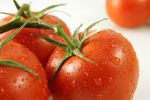 Ozone Water Generator - wash vegetable