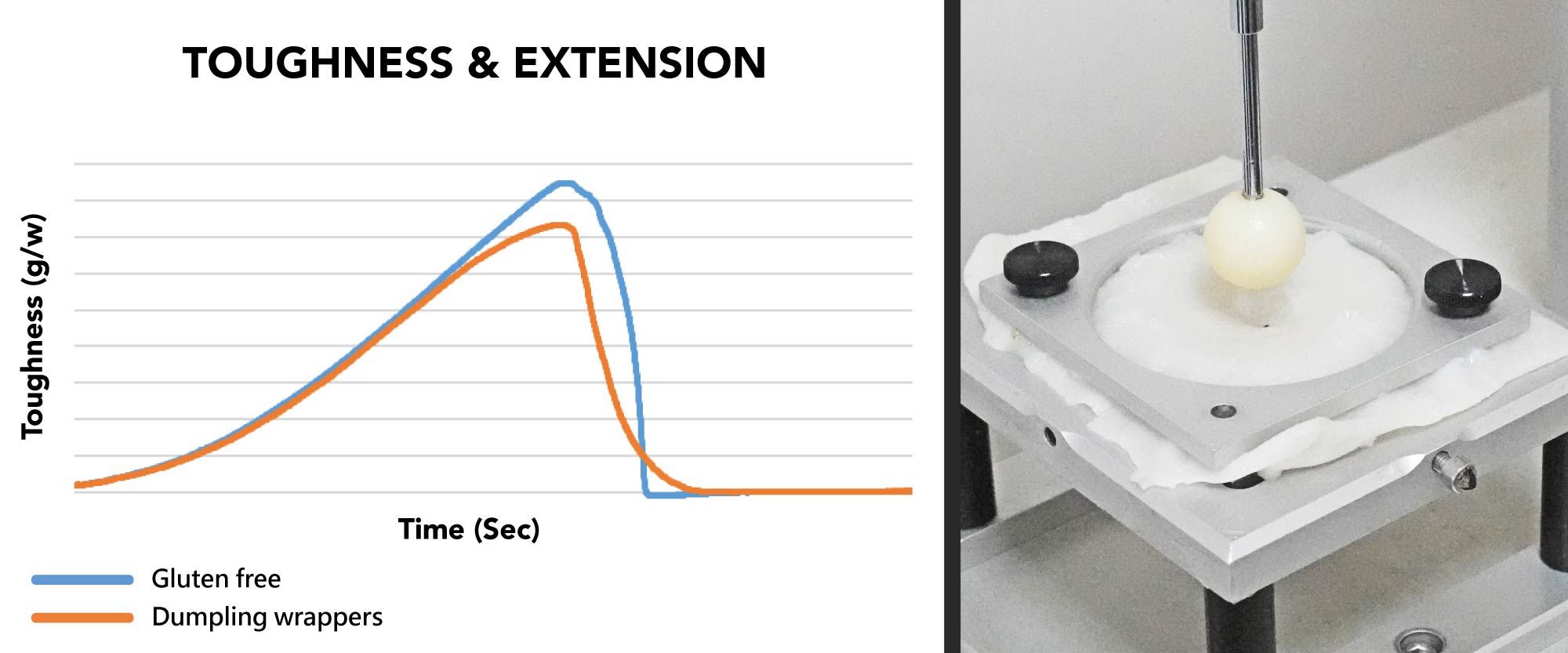gluten free texture analyzer