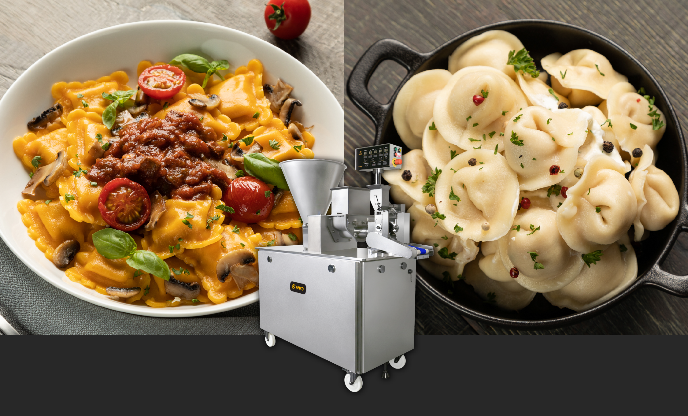 ANKO HLT-700U Multipurpose Filling and Forming Machine